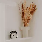 Superb Modern *